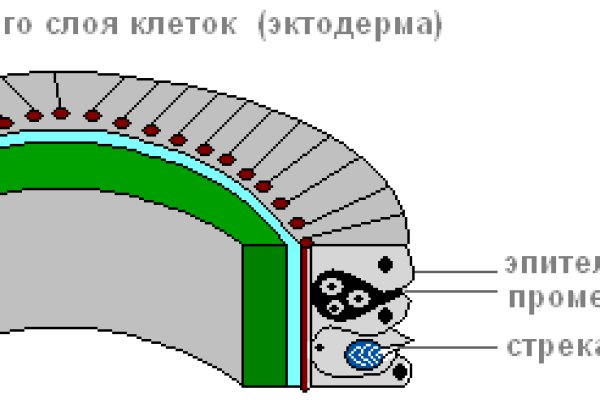 Что такое даркнет кракен